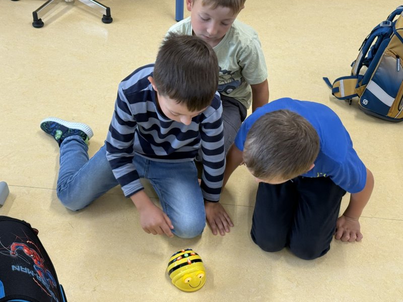 Schuljahr 2026/27 - Beebots